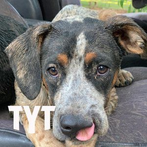 Meet your Posher, Deedee